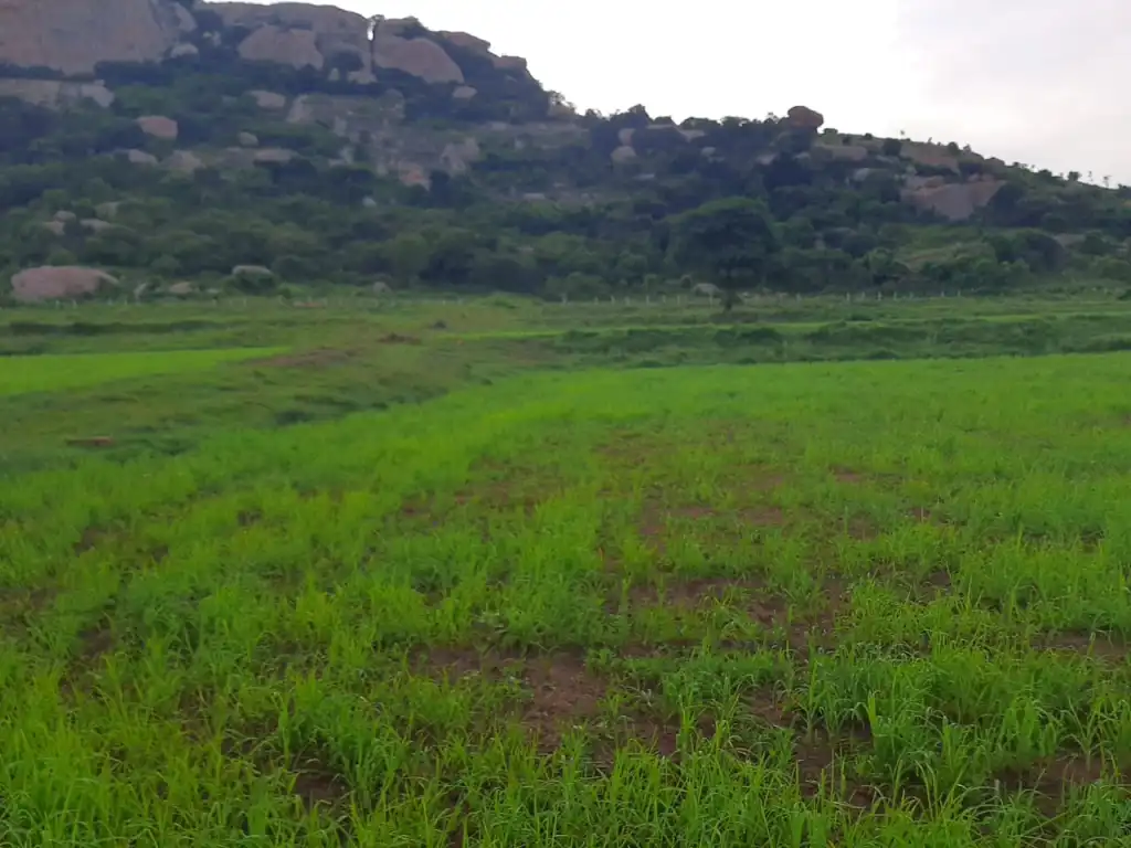 Sri Kshetra Maralegavi Mutt